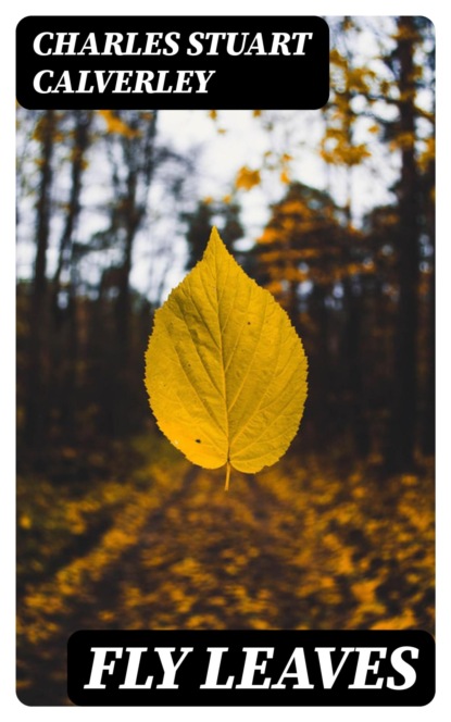 Fly Leaves
