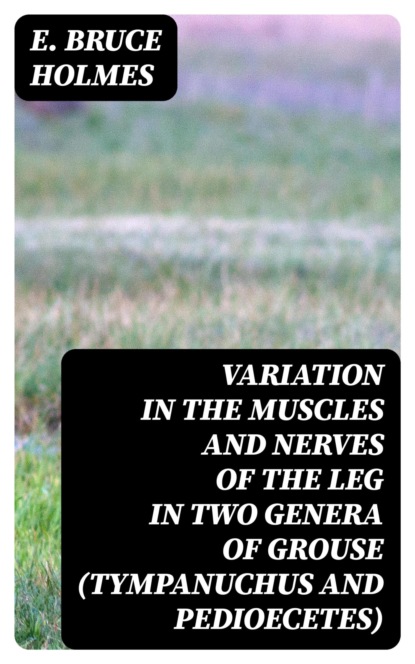 Variation in the Muscles and Nerves of the Leg in Two Genera of Grouse (Tympanuchus and Pedioecetes)