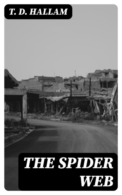 The Spider Web