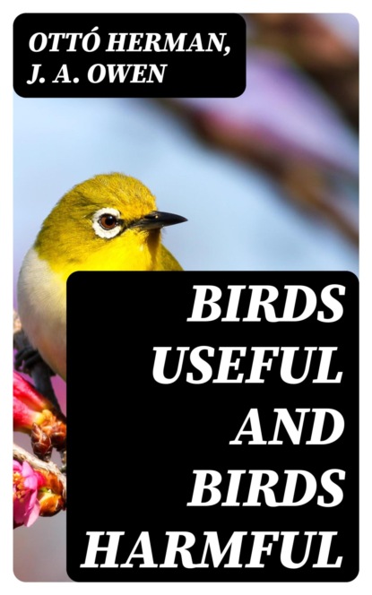 Birds useful and birds harmful