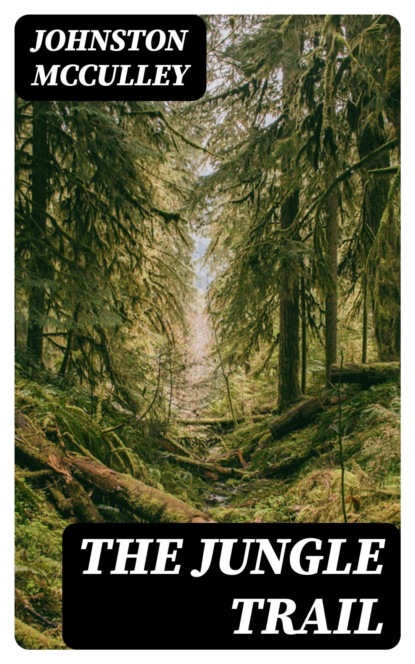 The Jungle Trail