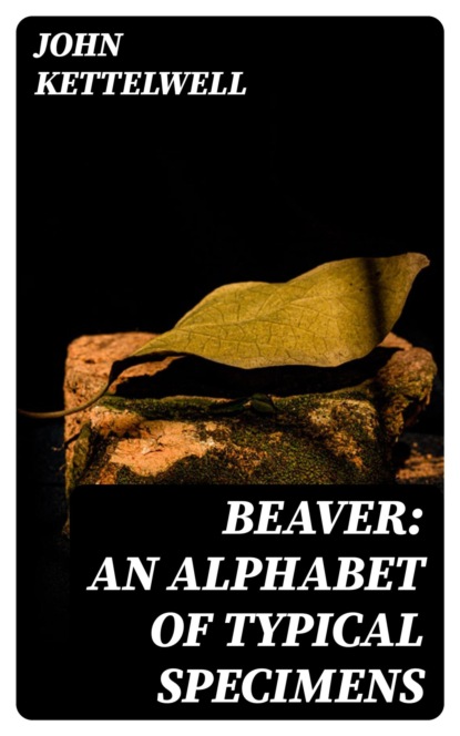 Beaver: An Alphabet of Typical Specimens