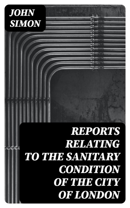 Reports Relating to the Sanitary Condition of the City of London