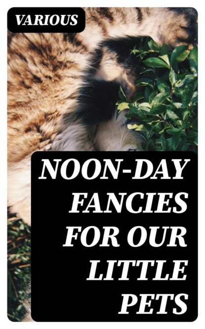 Noon-Day Fancies for Our Little Pets