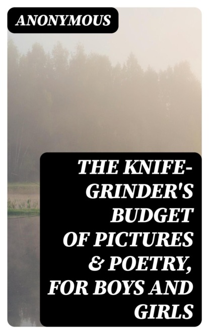 The knife-grinder's budget of pictures & poetry, for boys and girls