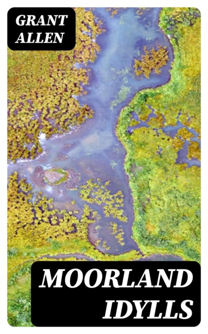 Moorland Idylls