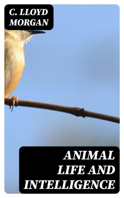 Animal Life and Intelligence