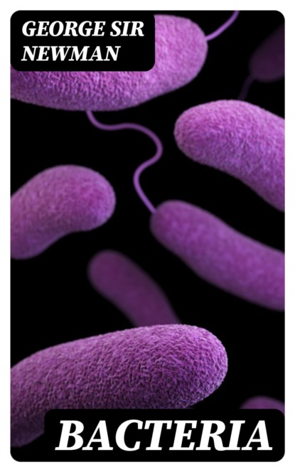 Bacteria