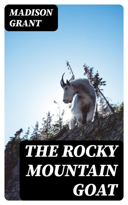 The Rocky Mountain Goat