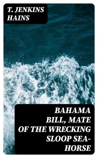 Bahama Bill, Mate of the Wrecking Sloop Sea-Horse