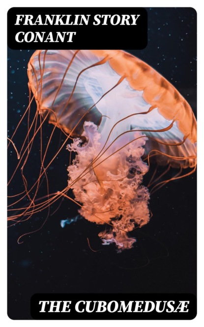 The Cubomedusæ