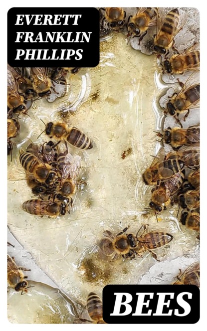 Bees