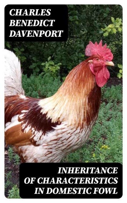 Inheritance of Characteristics in Domestic Fowl