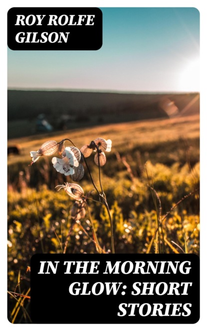 In the Morning Glow: Short Stories