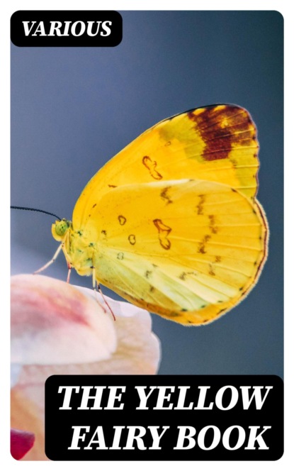 The Yellow Fairy Book