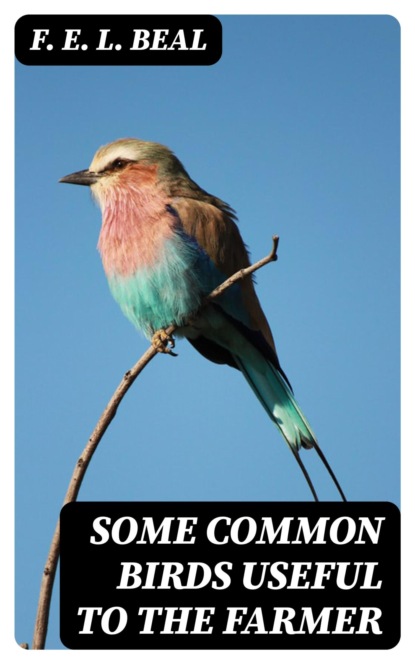 Some Common Birds Useful to the Farmer