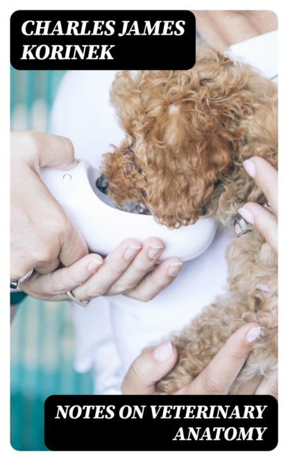 Notes on Veterinary Anatomy