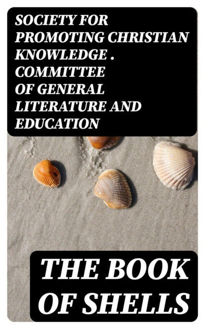 The Book of Shells