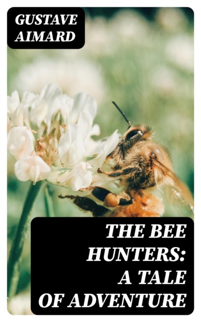 The Bee Hunters: A Tale of Adventure
