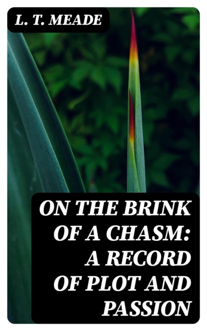 On the Brink of a Chasm: A record of plot and passion
