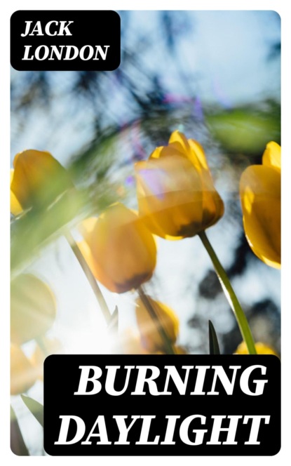 Burning Daylight