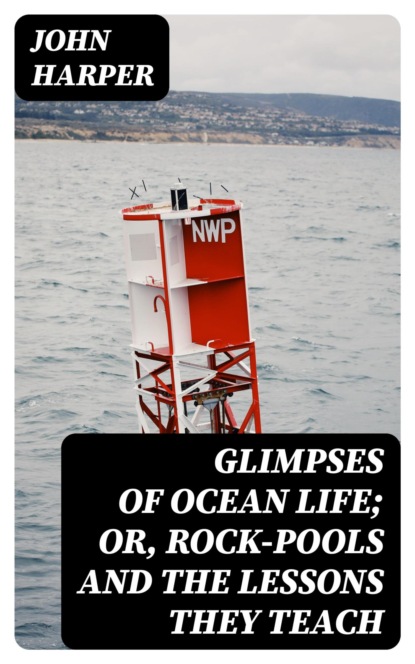 Glimpses of Ocean Life; Or, Rock-Pools and the Lessons they Teach