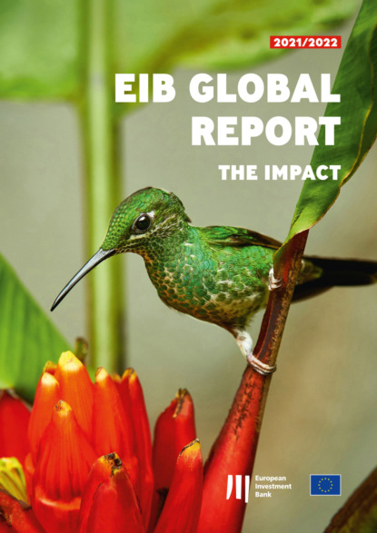 EIB Global Report: The Impact