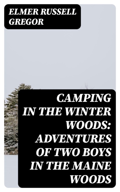 Camping in the Winter Woods: Adventures of Two Boys in the Maine Woods