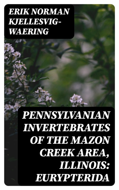Pennsylvanian invertebrates of the Mazon Creek Area, Illinois: Eurypterida