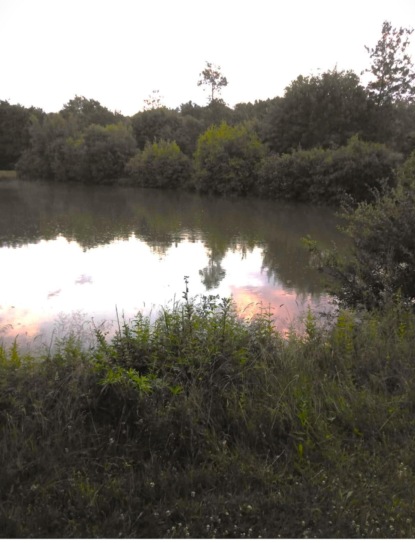 Der Teich meines Onkels