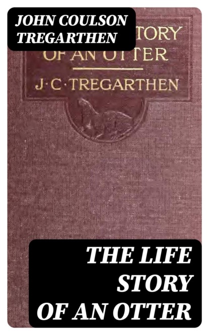 The Life Story of an Otter