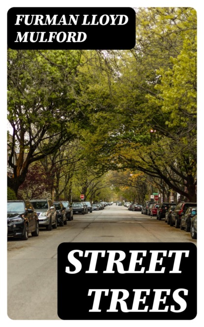 Street Trees