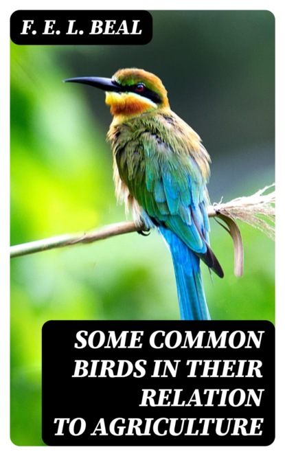Some Common Birds in Their Relation to Agriculture