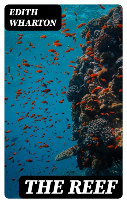 The Reef