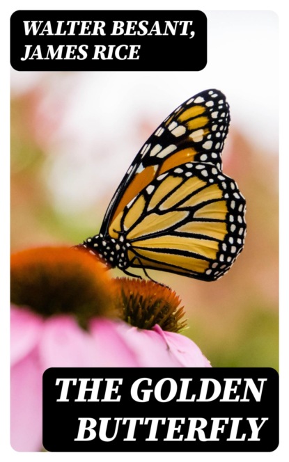 The Golden Butterfly