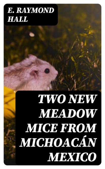 Two New Meadow Mice from Michoacán Mexico