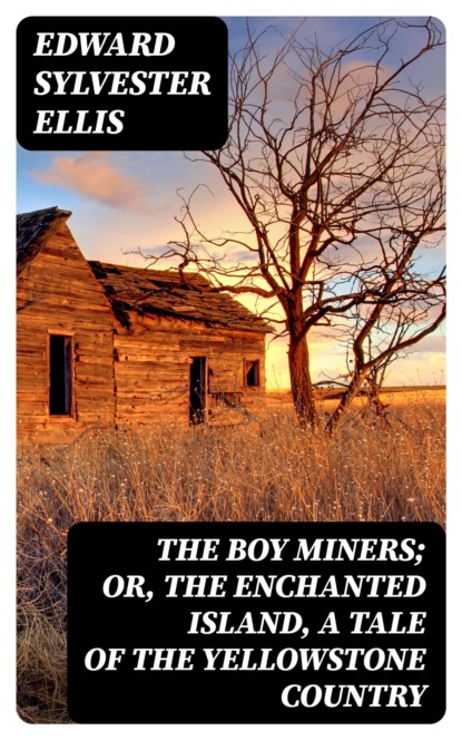 The Boy Miners; Or, The Enchanted Island, A Tale of the Yellowstone Country