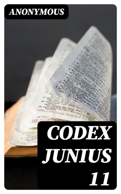 Codex Junius 11