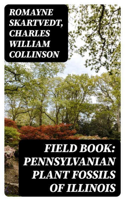 Field Book: Pennsylvanian Plant Fossils of Illinois