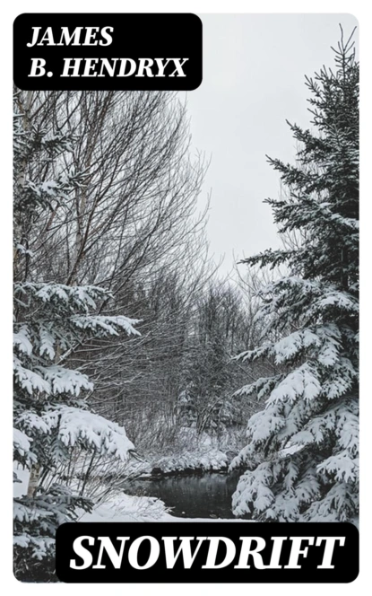 Snowdrift