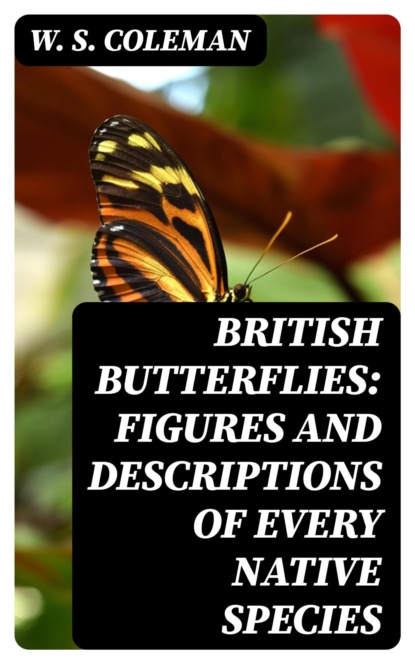 British Butterflies: Figures and Descriptions of Every Native Species