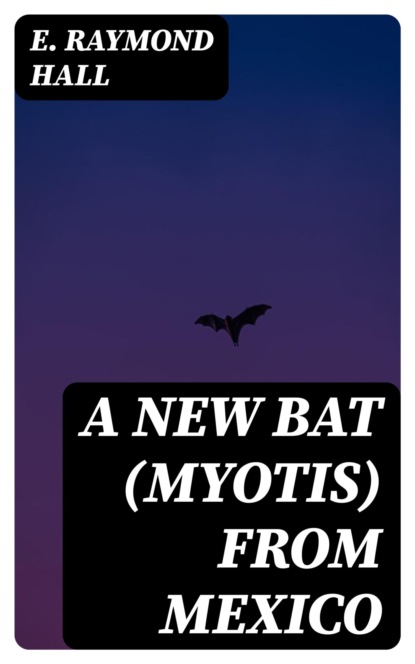A New Bat (Myotis) From Mexico