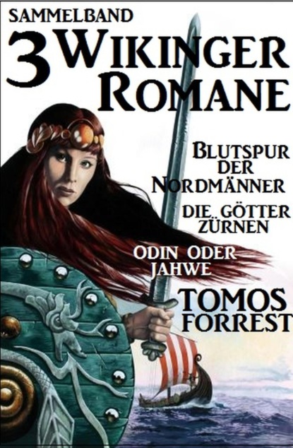 3 Wikinger-Romane: Blutspur der Nordmänner/Die Götter zürnen/Odin und Jahwe