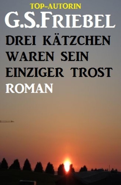 Drei Kätzchen waren sein einziger Trost