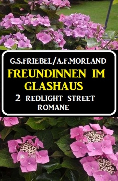 Freundinnen im Glashaus: 2 Redlight Street Romane