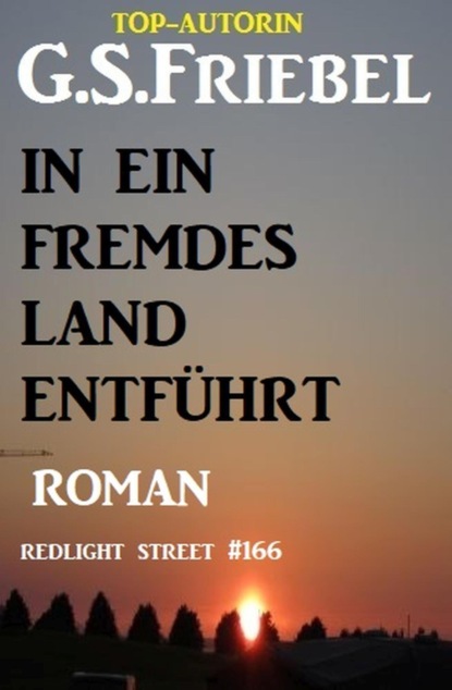 In ein fremdes Land entführt: Redlight Street #166