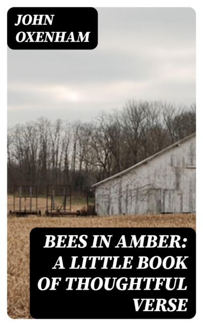 Bees in Amber: A Little Book of Thoughtful Verse