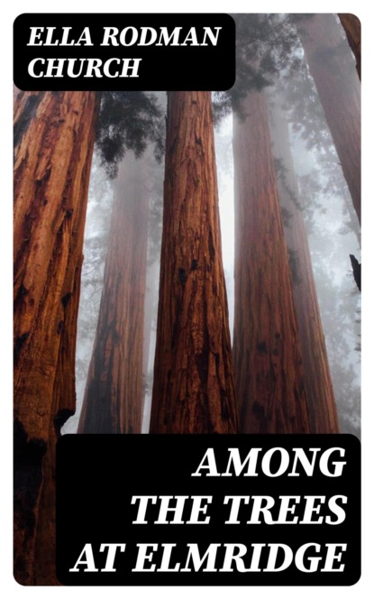 Among the Trees at Elmridge