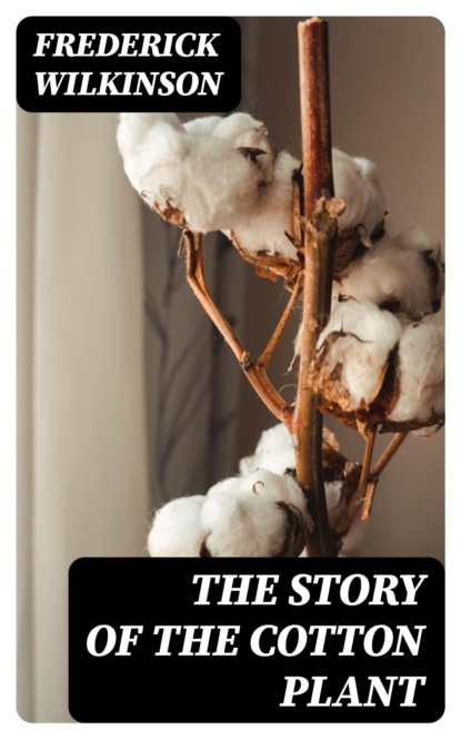 The Story of the Cotton Plant