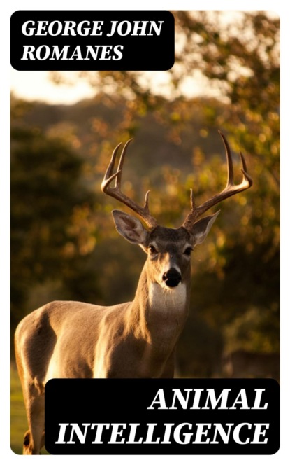Animal Intelligence